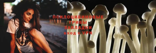гидра Нея